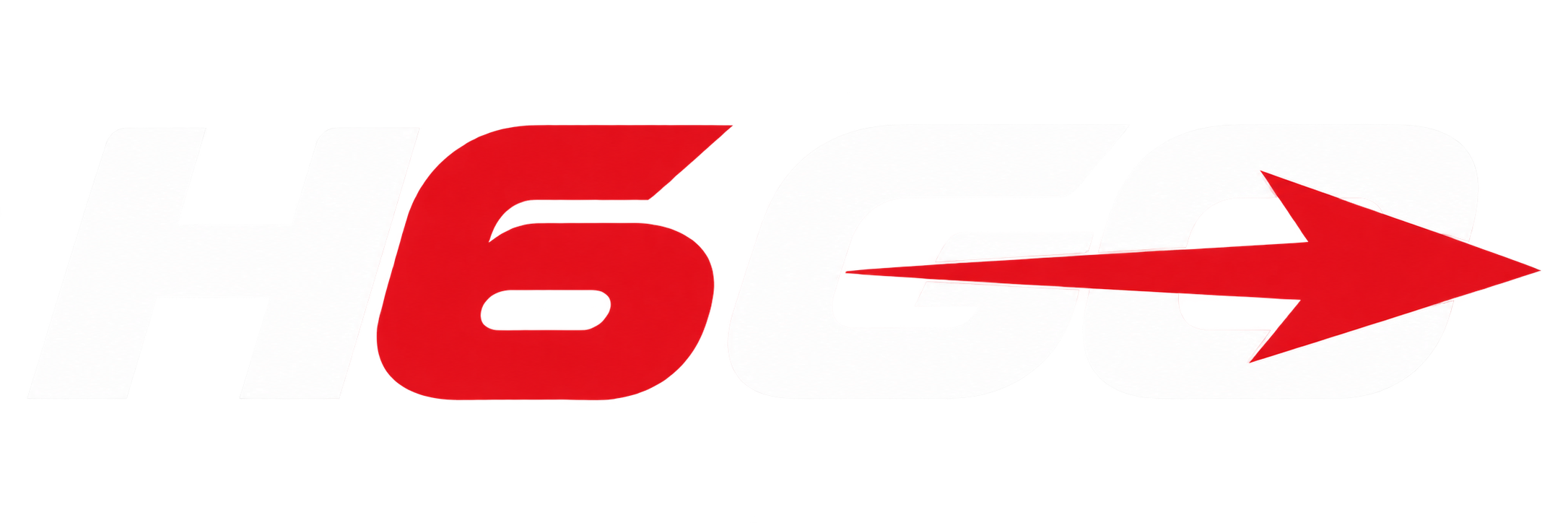 H6 Go
